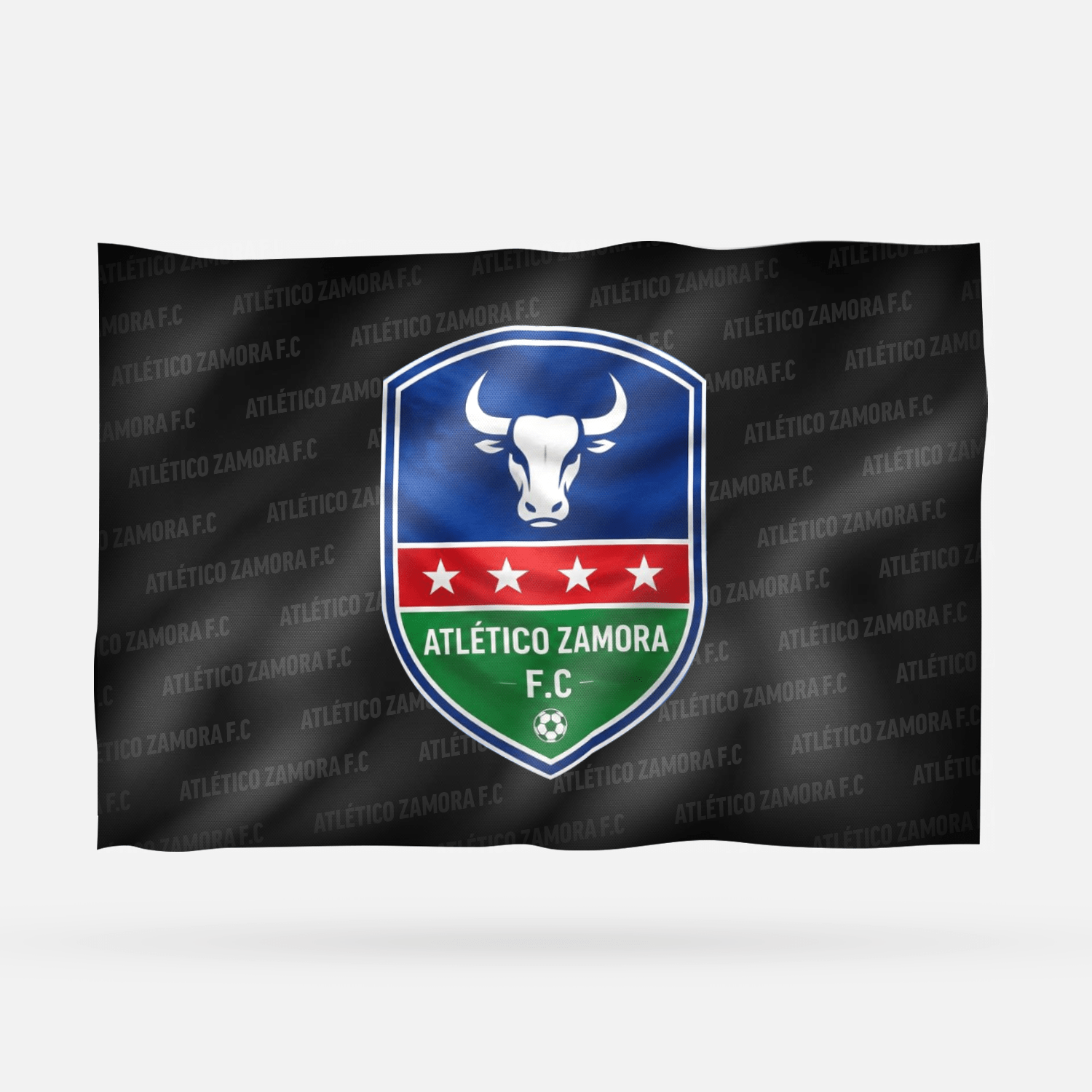 ATLÉTICO ZAMORA F.C - Imagen 6