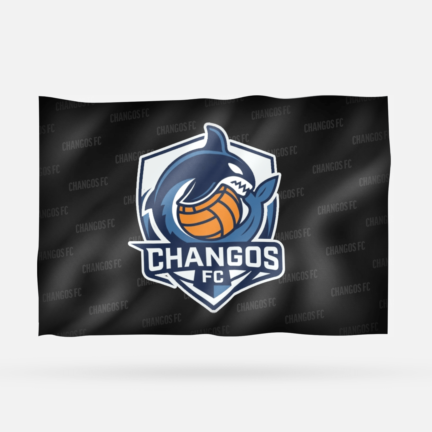CHANGOS FC - Imagen 6