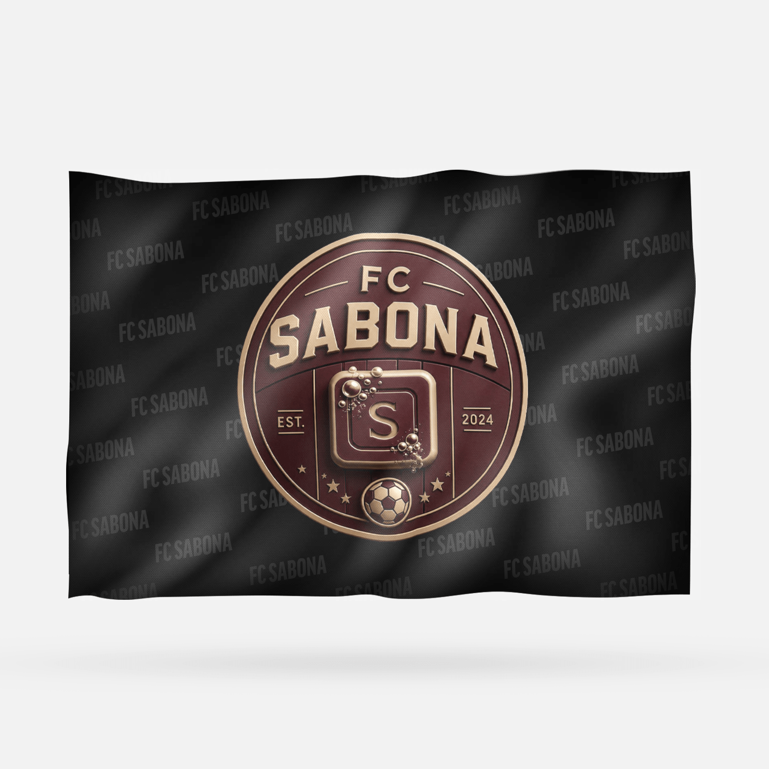 FC SABONA - Imagen 6