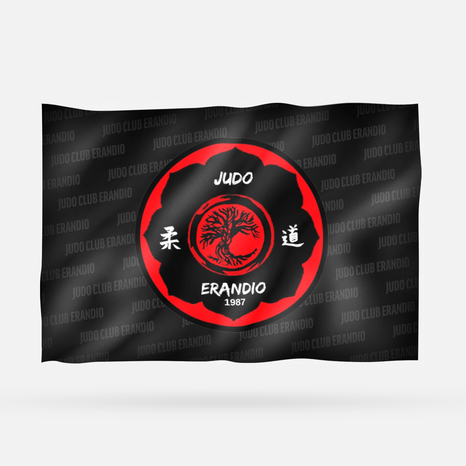 JUDO CLUB ERANDIO - Imagen 3