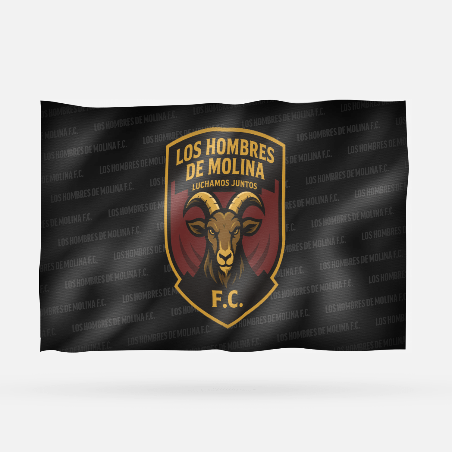 LOS HOMBRES DE MOLINA F.C - Imagen 6