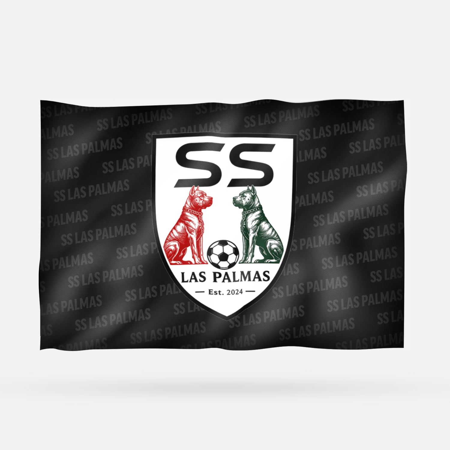 SS LAS PALMAS - Imagen 6
