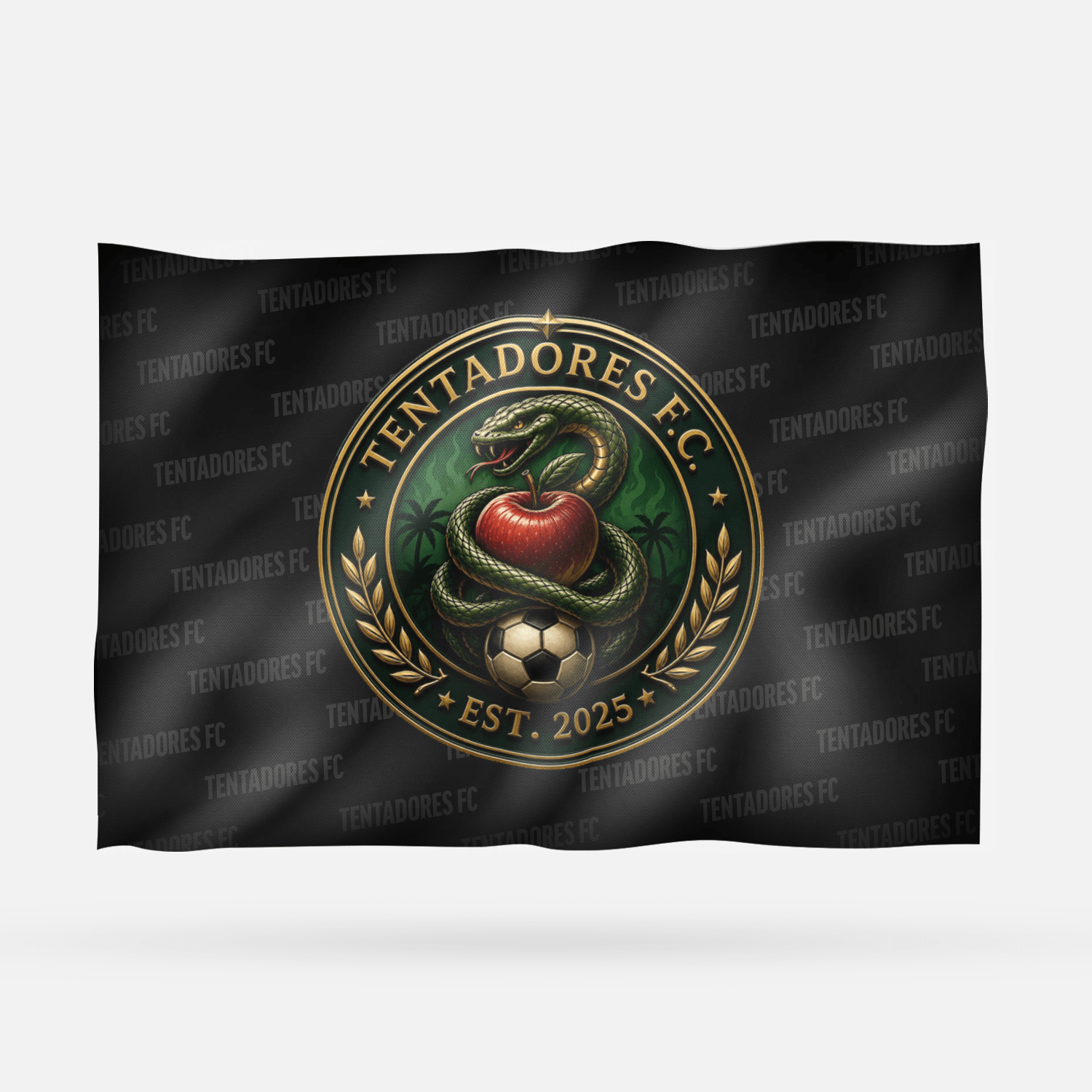 TENTADORES FC - Imagen 3