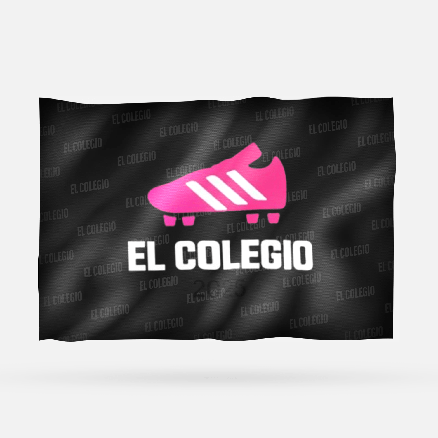 EL COLEGIO 2025 - Imagen 8
