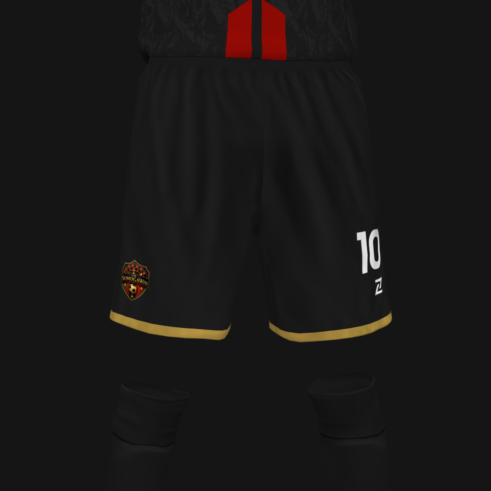 UD SOMOGAWIN - Imagen 4