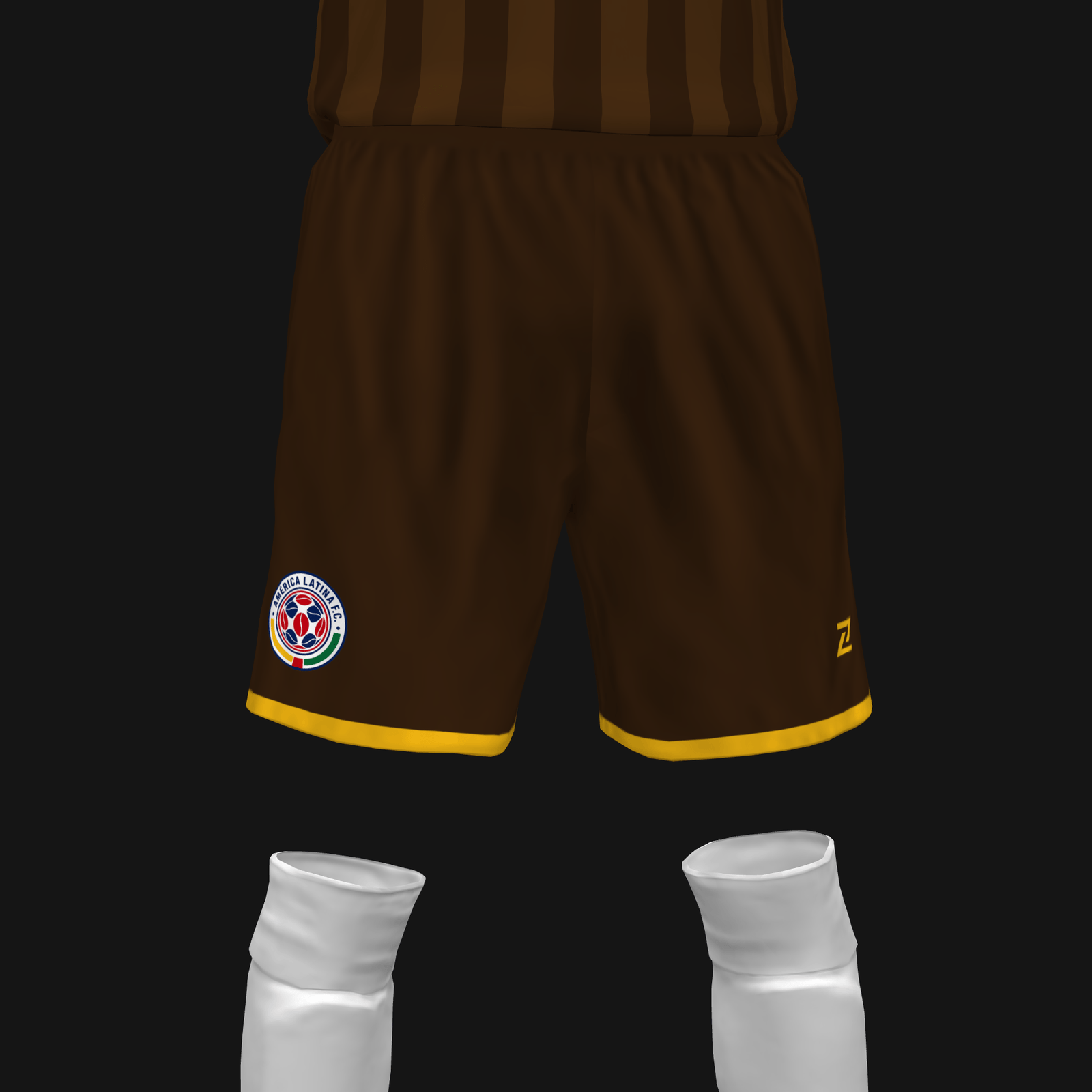 AMÉRICA LATINA - Imagen 4