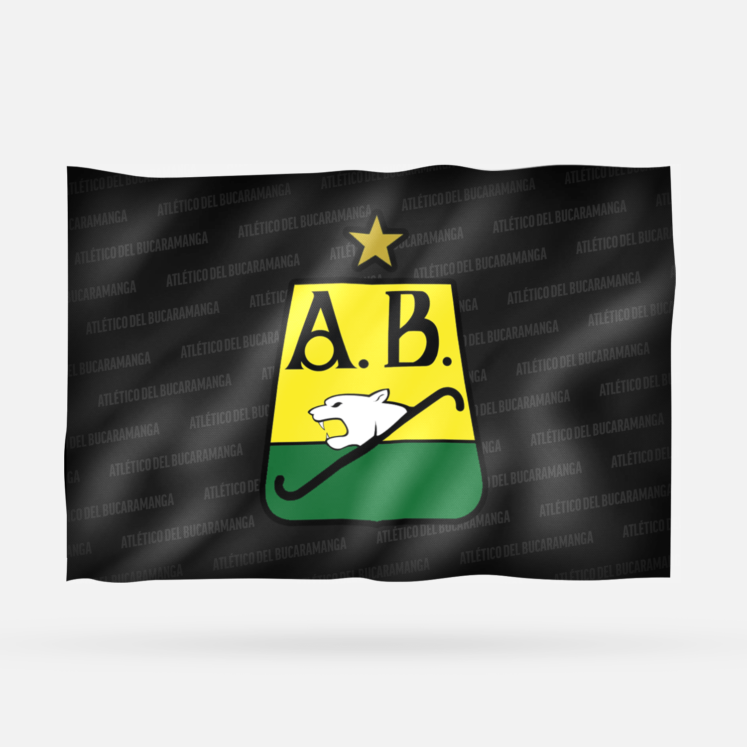 ATLÉTICO DEL BUCARAMANGA - Imagen 6