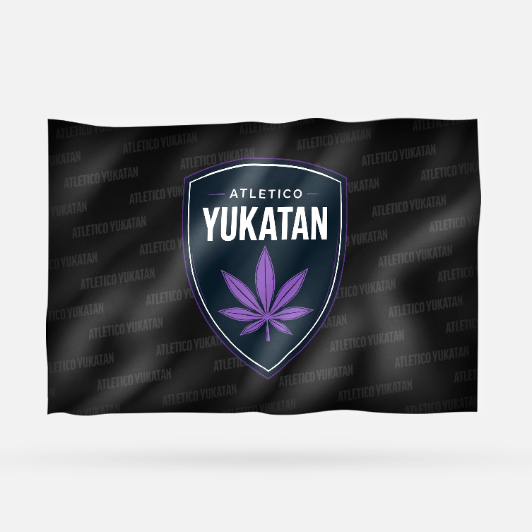 ATLETICO YUKATAN 2026 - Imagen 17