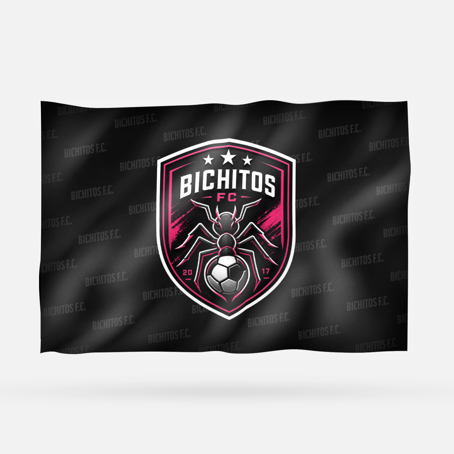 BICHITOS F.C. - Imagen 6
