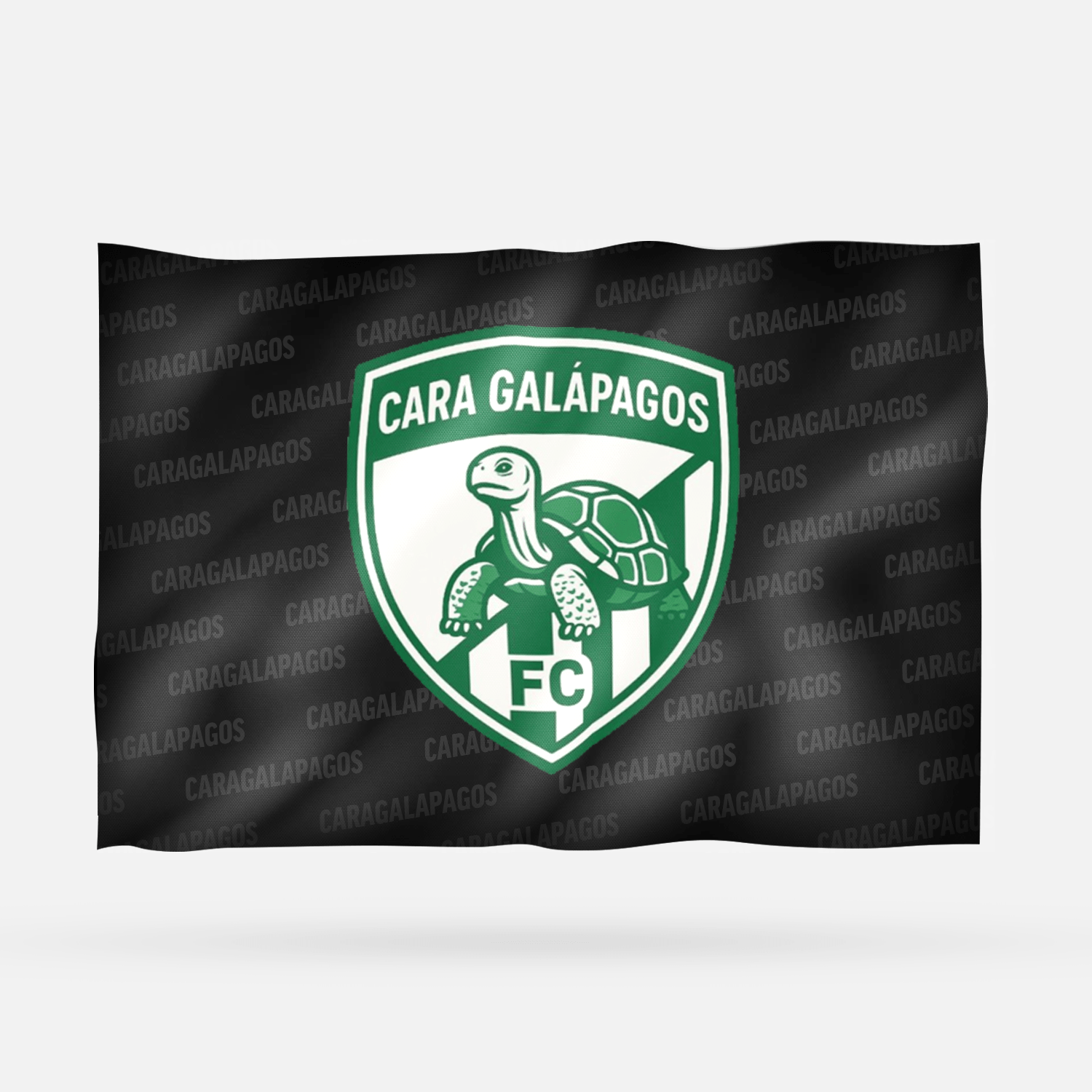 CARAGALAPAGOS - Imagen 6