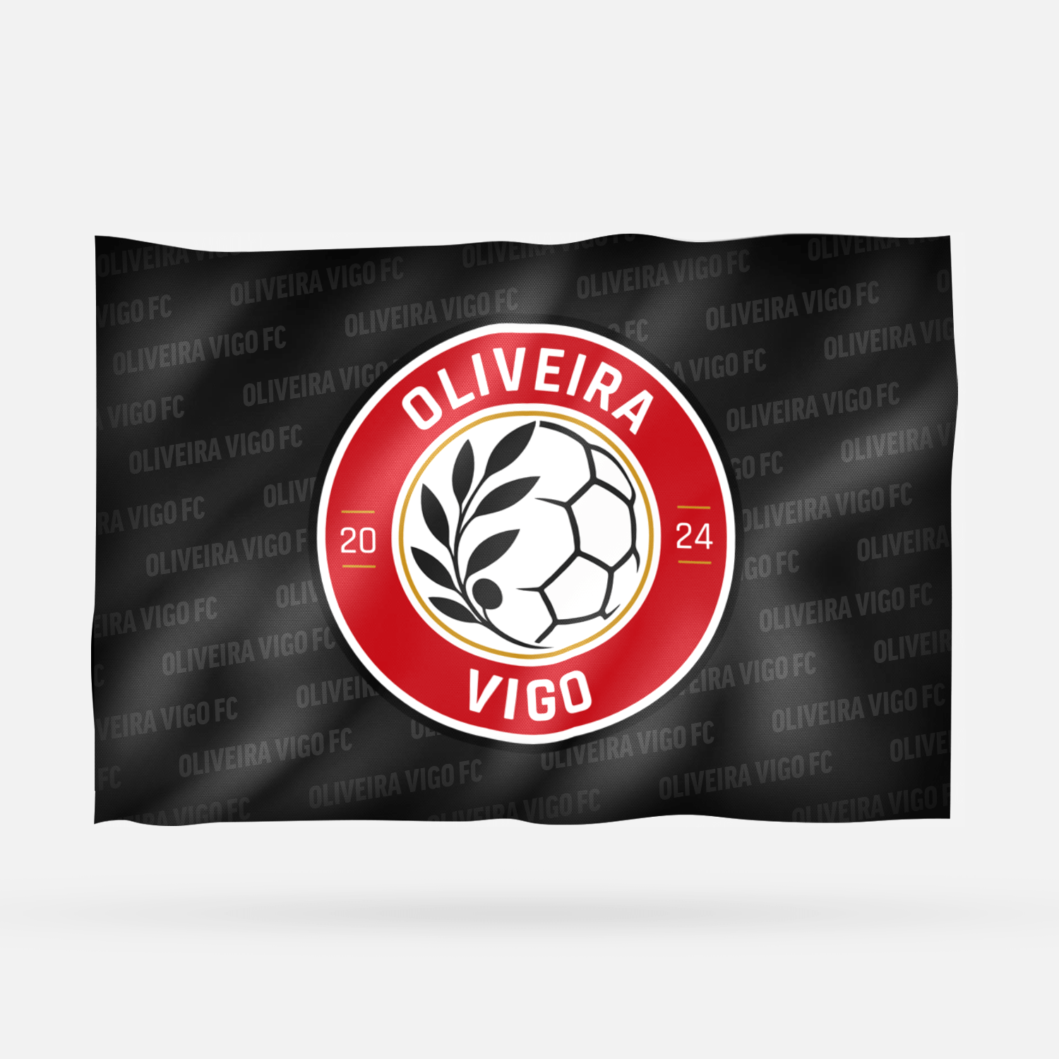 OLIVEIRA VIGO FC - Imagen 8