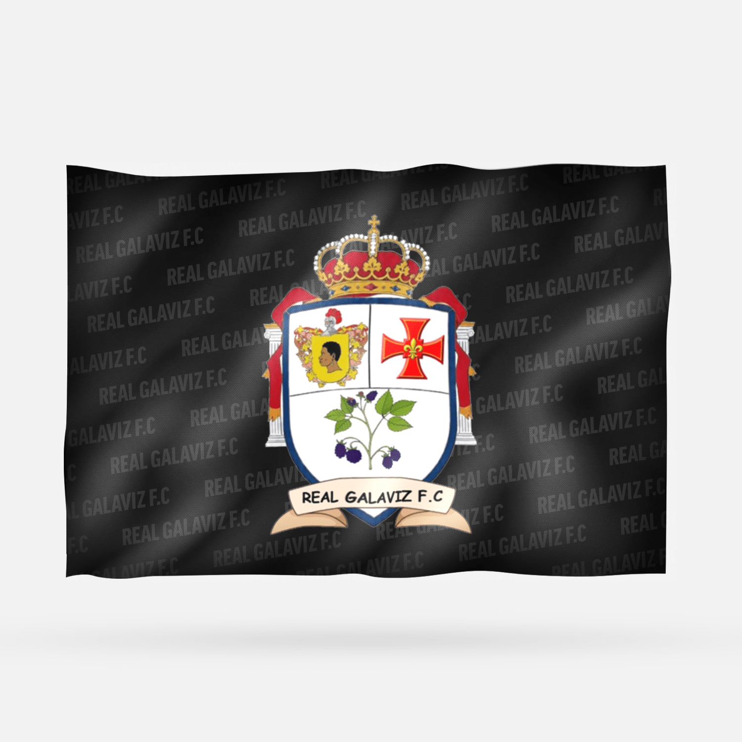 REAL GALAVIZ F.C - Imagen 6