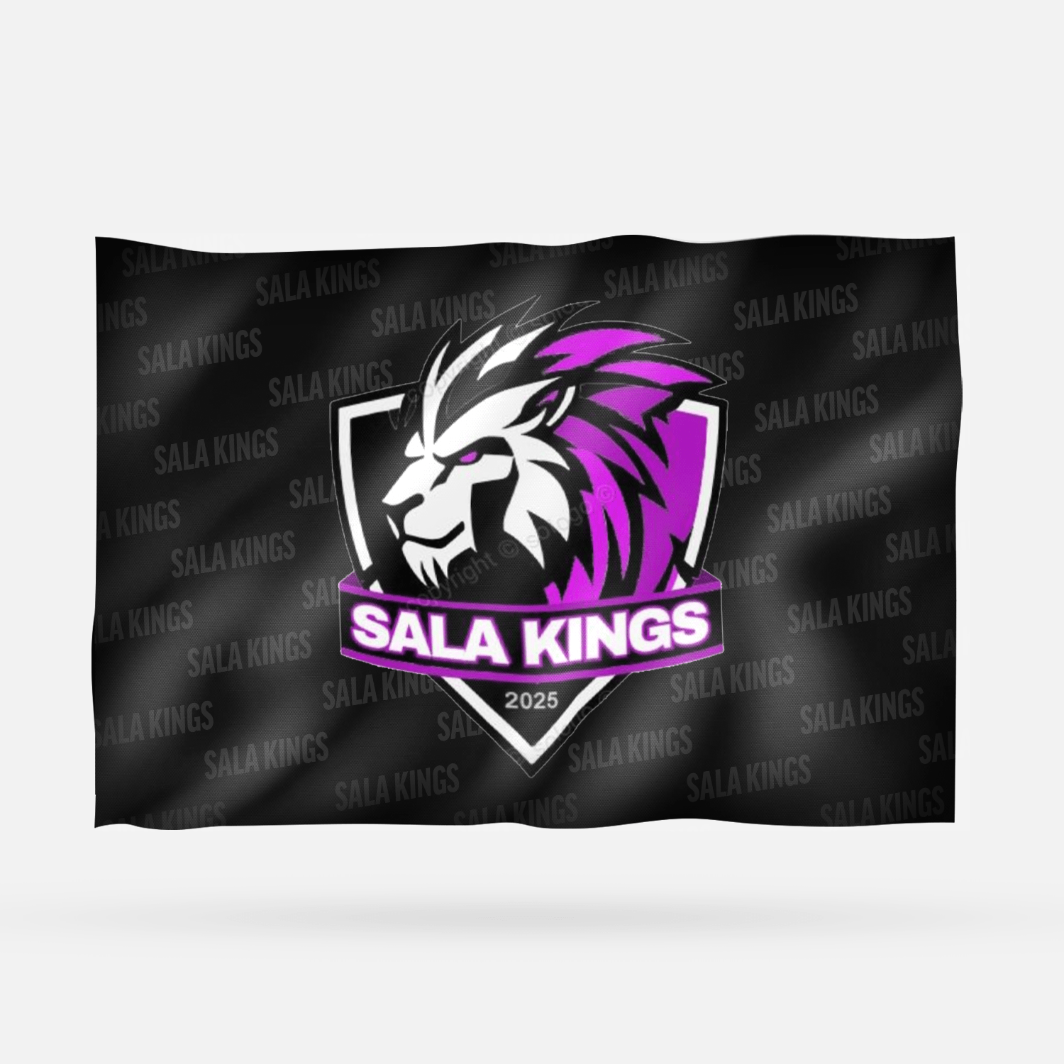 SALA KINGS - Imagen 6