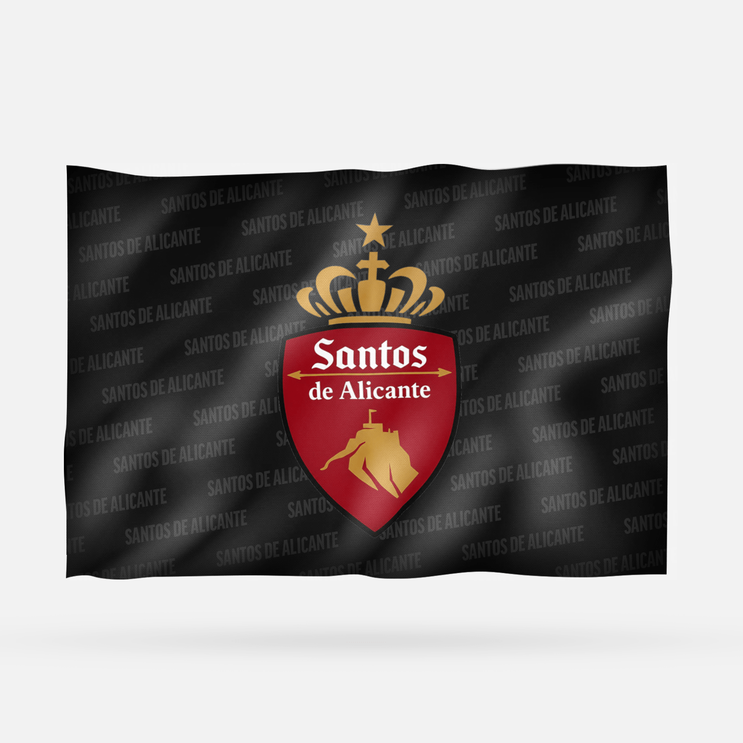 SANTOS DE ALICANTE 2026 - Imagen 8