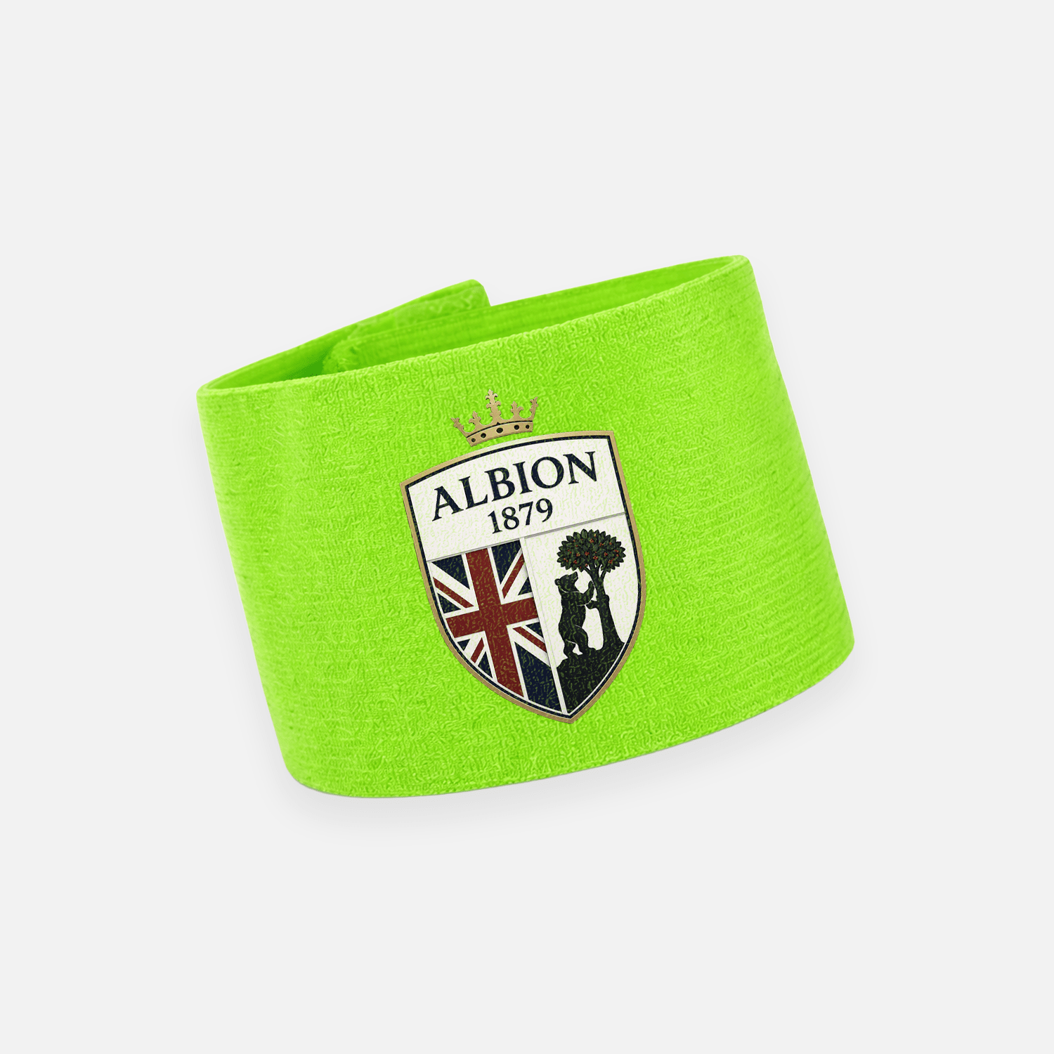 ALBION 1879 - Imagen 5