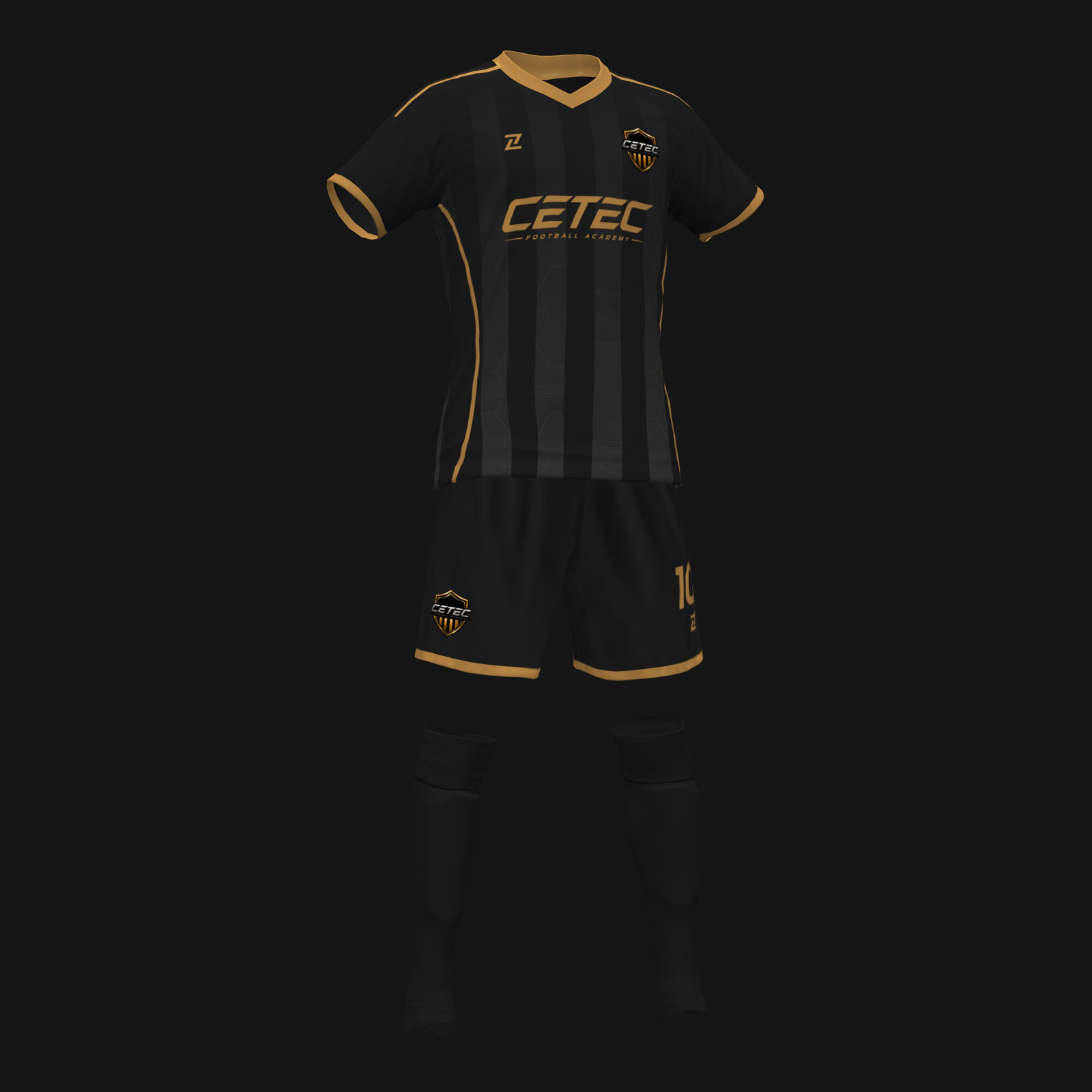 CETEC PRIMERA - Imagen 2