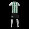 GLOSOJOR F.C. - Imagen 2