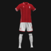 NOCHINGAN FOREST 2026 - Imagen 2