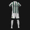 MASONES C.F - Imagen 2