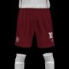 REAL PALOS 2026 - Imagen 5