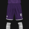 CURVA FIESOLE 2026 - Imagen 4