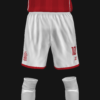 NOCHINGAN FOREST 2026 - Imagen 4