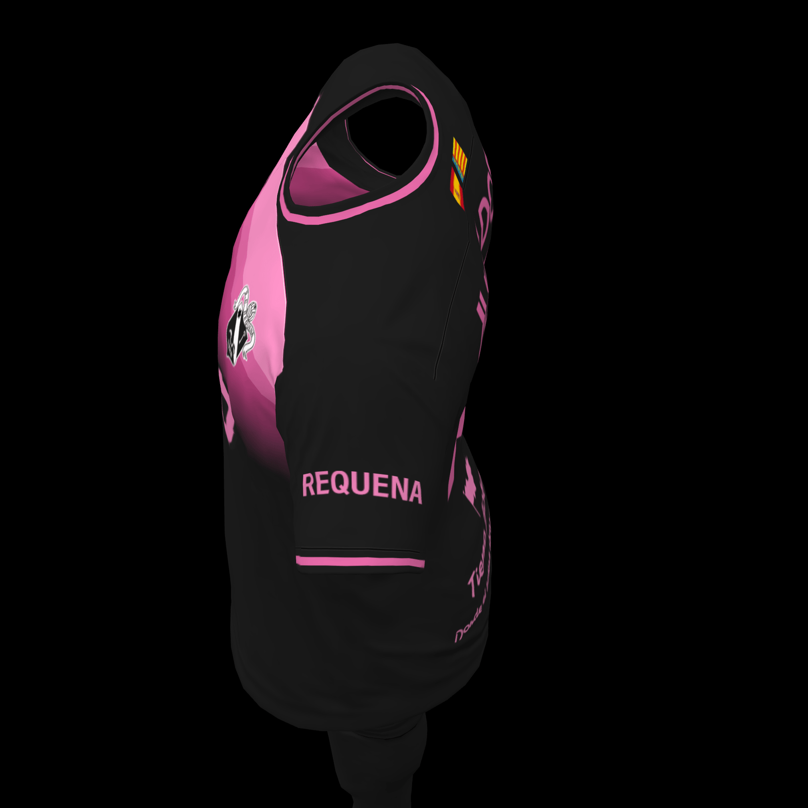 SC REQUENA - Imagen 5