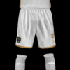 NIRVANA FC - Imagen 5