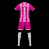 GLOSOJOR F.C. - Imagen 6