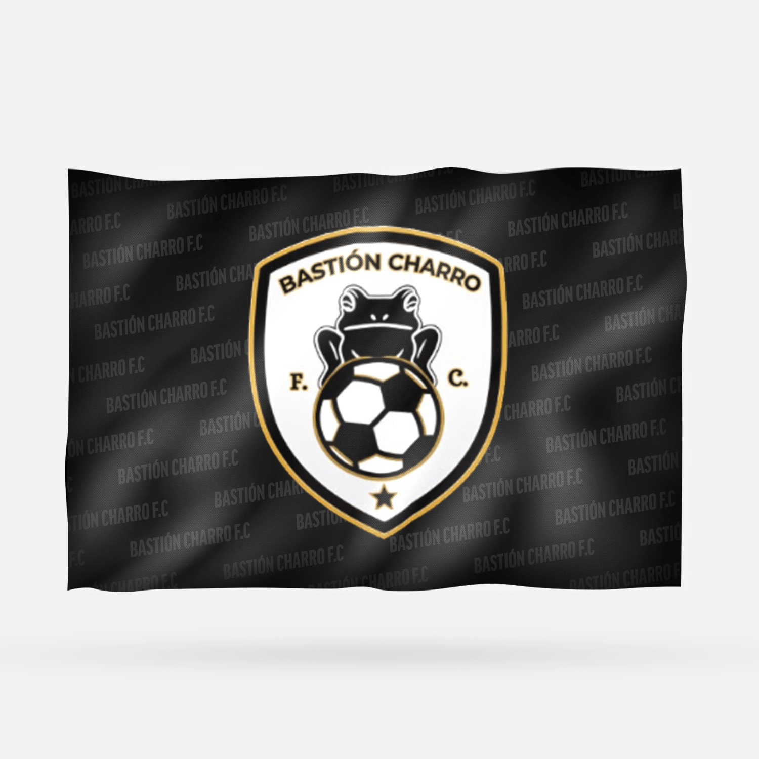 BASTIÓN CHARRO F.C - Imagen 9