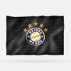 BAYERN MAHOU - Imagen 6