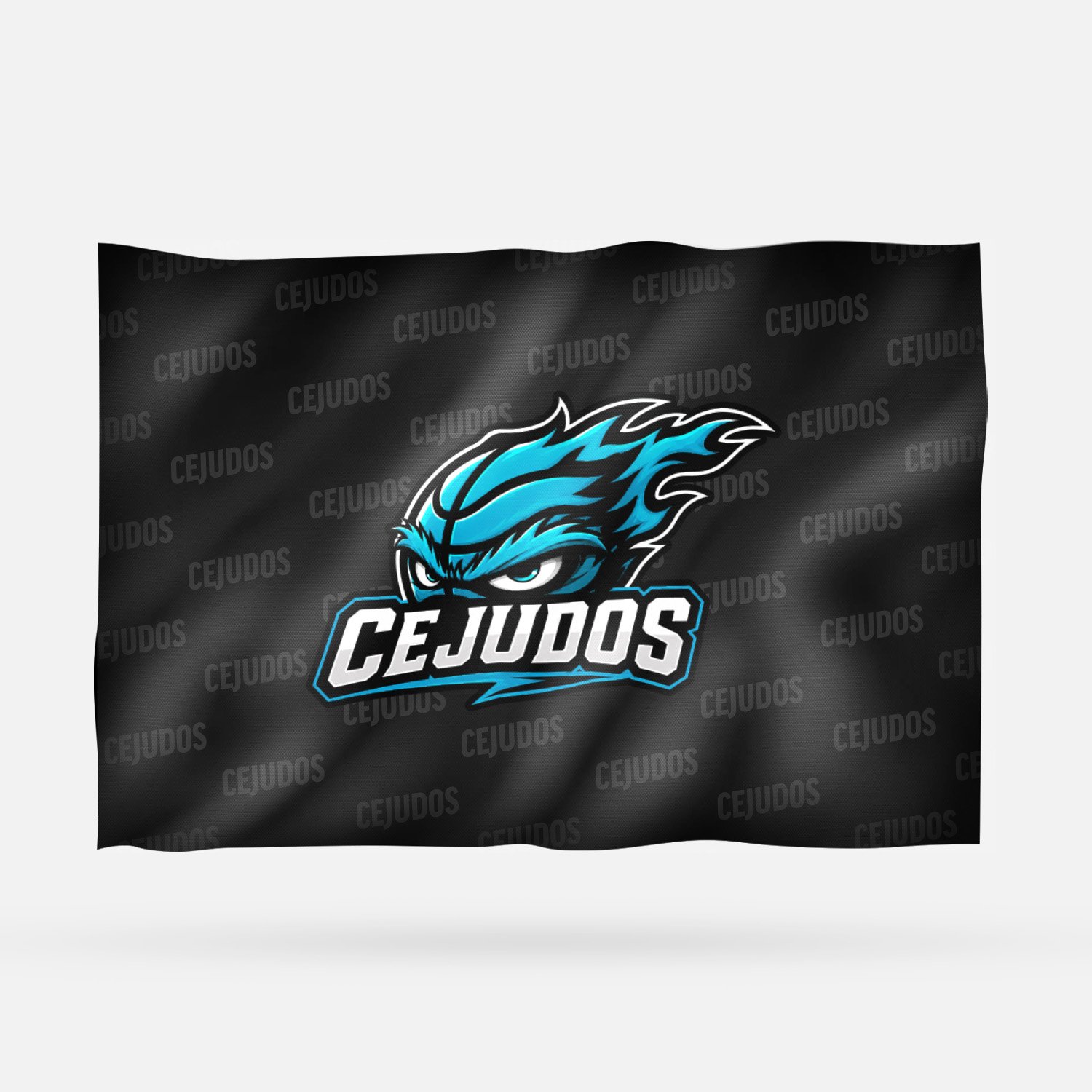 CEJUDOS - Imagen 5