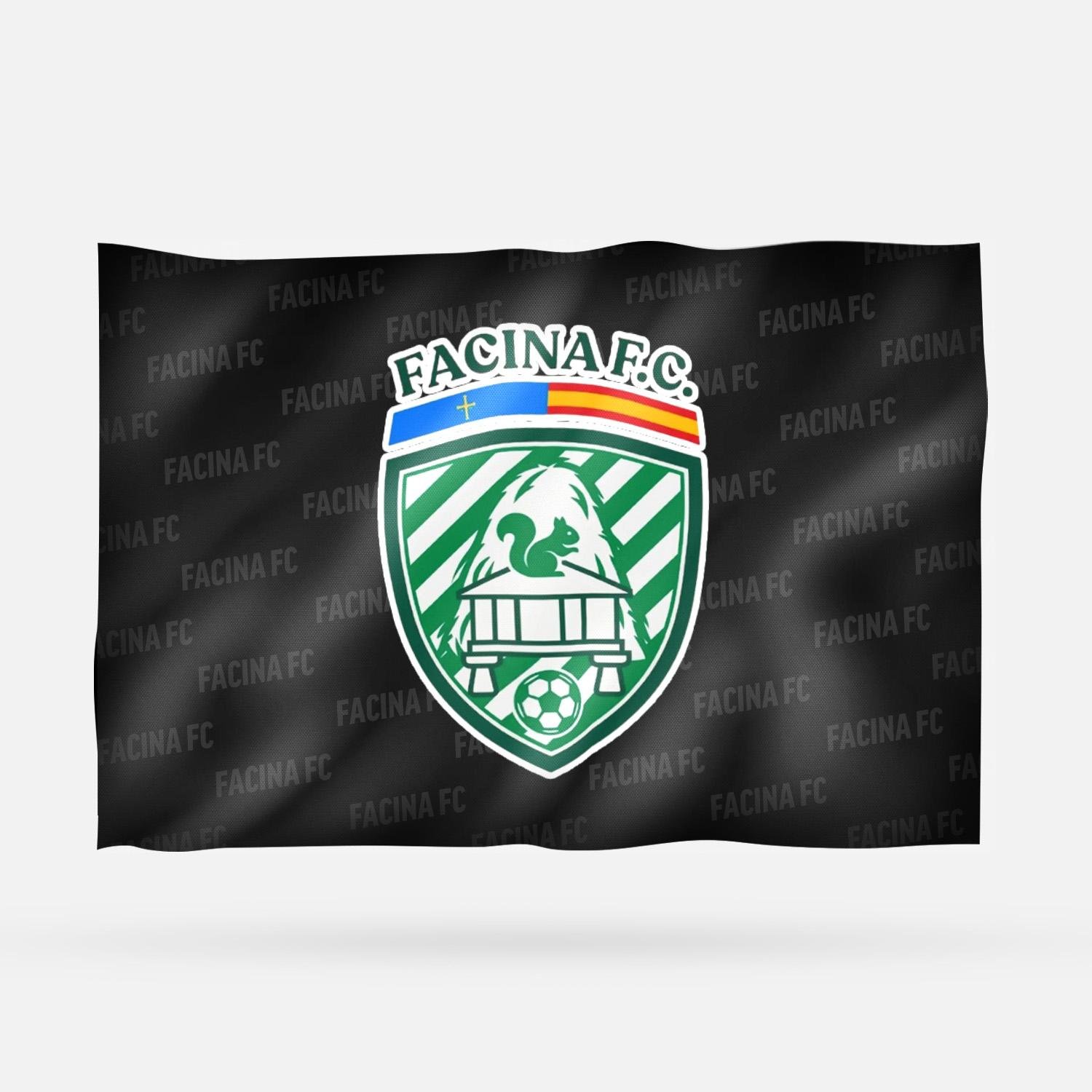 FACINA FC - Imagen 8