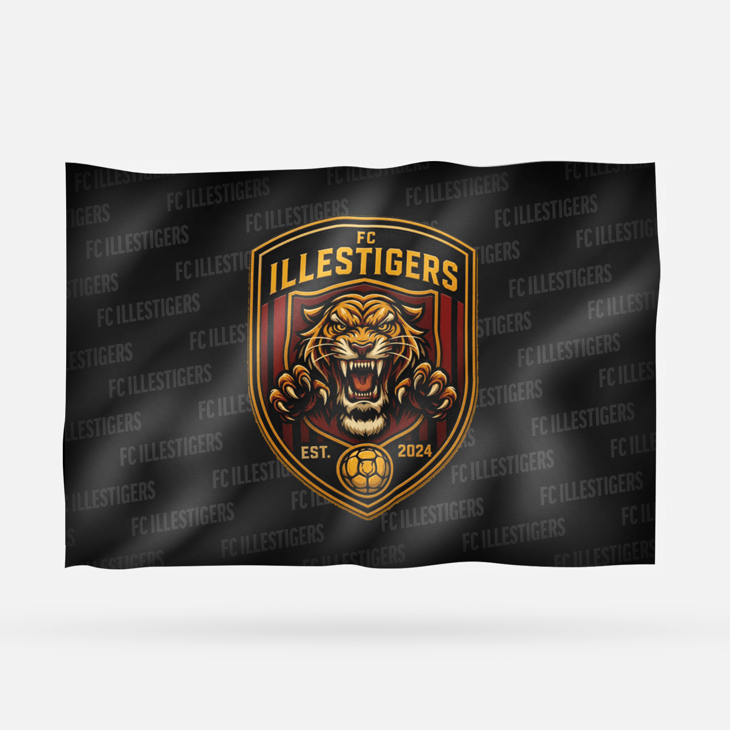 ILLESTIGERS FC - Imagen 6