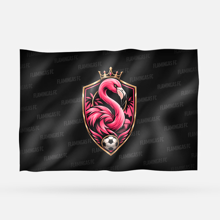 FLAMINGAS FC - Imagen 18