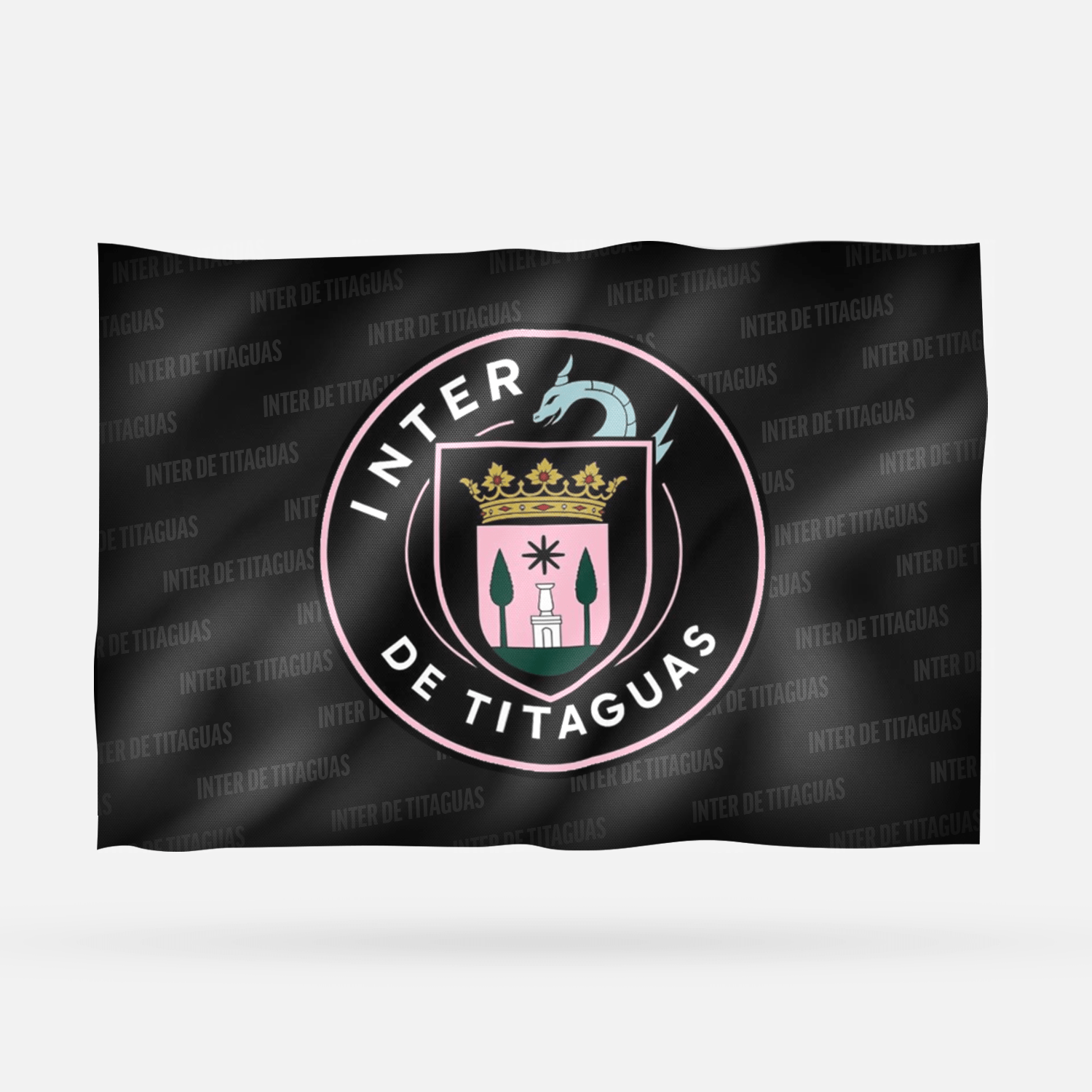 INTER DE TITAGUAS IDT - Imagen 6