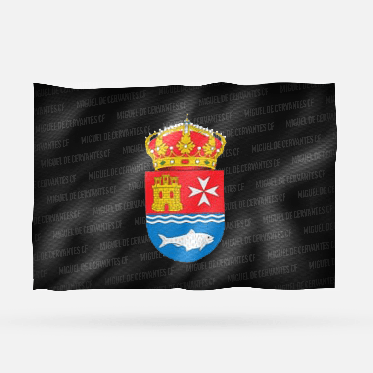 MIGUEL DE CERVANTES CF - Imagen 6