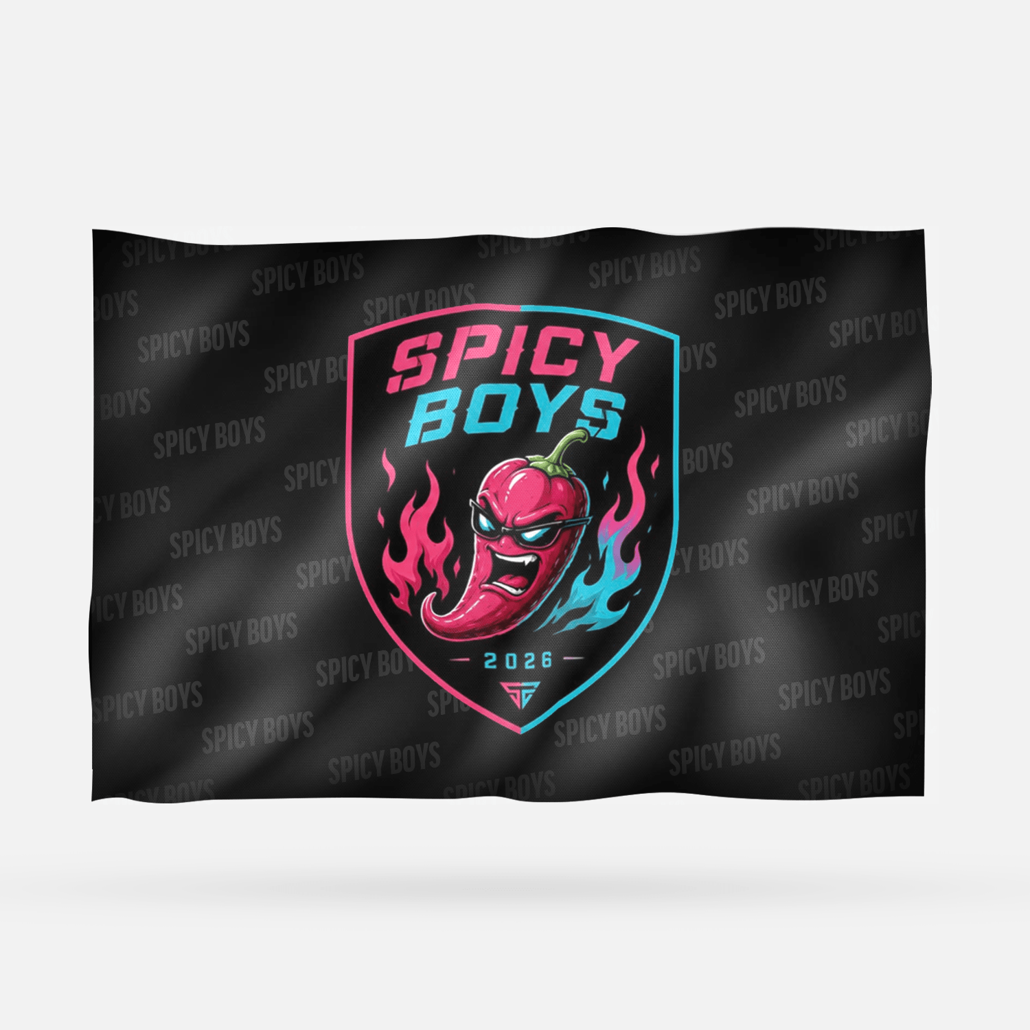 SPICY BOYS - Imagen 6