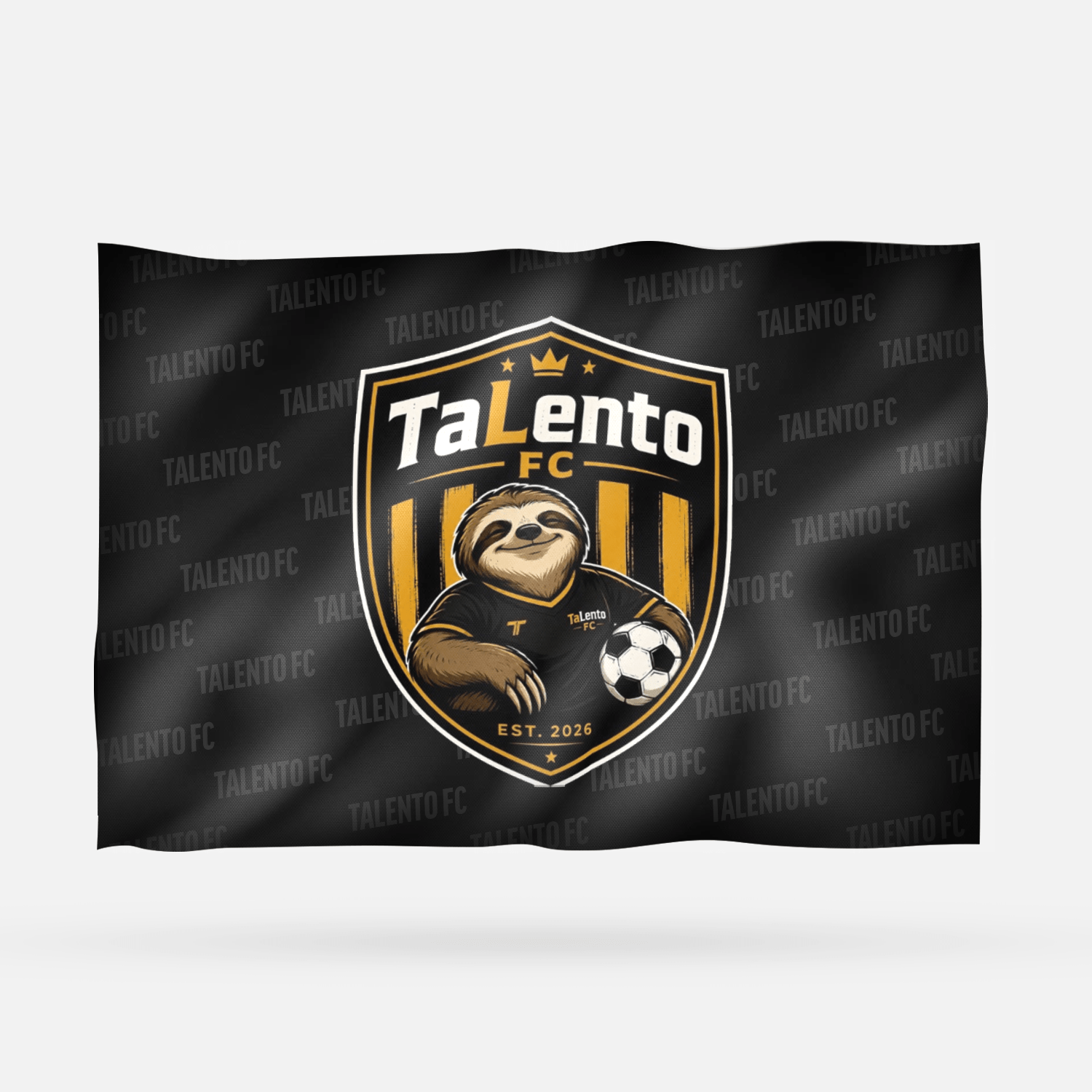 TALENTO FC - Imagen 8