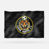 TIGRES RECTOS - Imagen 8