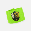 THE CANARY LIONS - Imagen 9