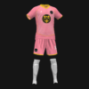 FÚTBOL LIVE ROSA - Imagen 2