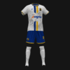 THE CANARY LIONS - Imagen 2