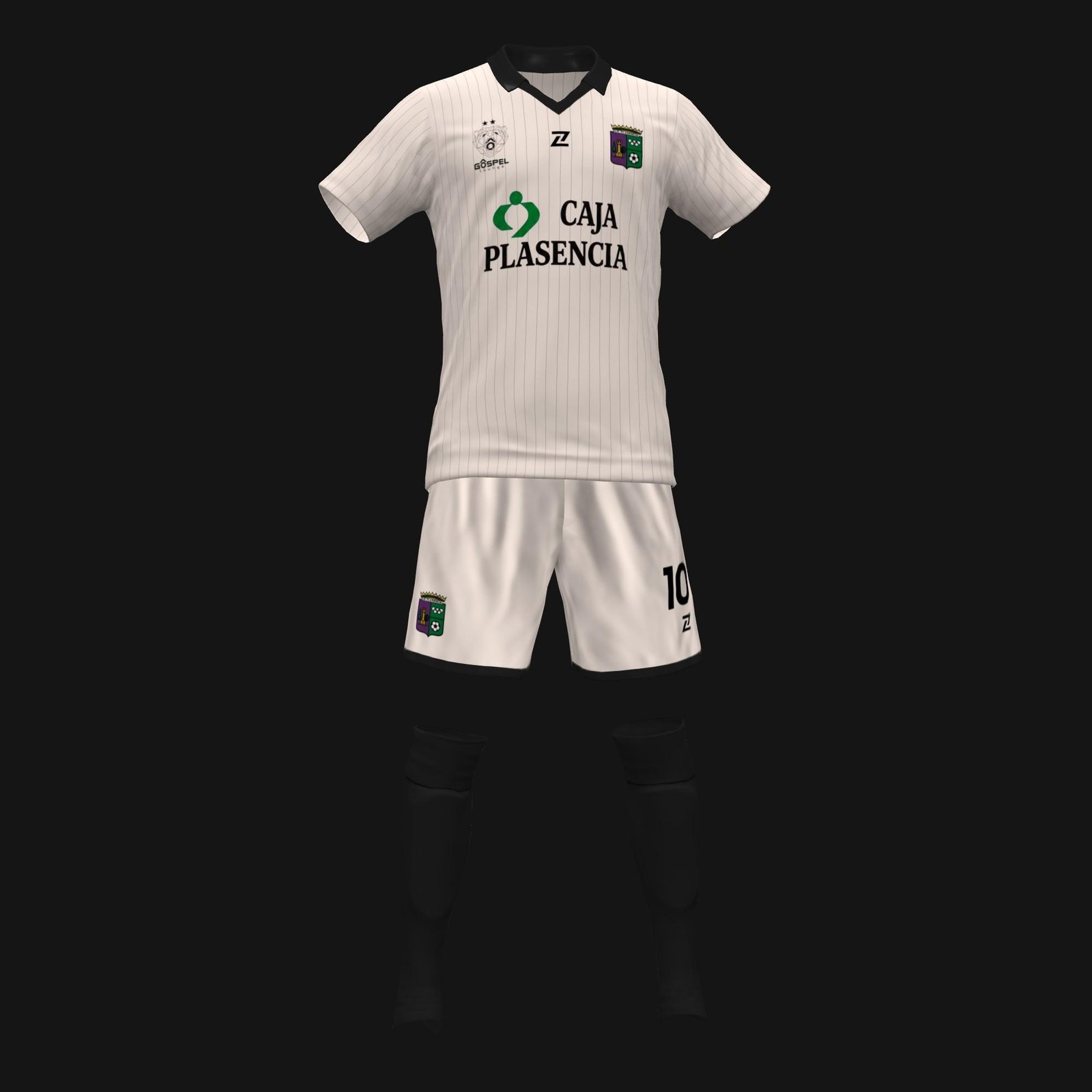 UNIÓN POLIDEPORTIVA PLASENCIA - Imagen 2