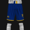 THE CANARY LIONS - Imagen 4