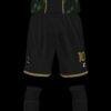 TDT 2026 - Imagen 4