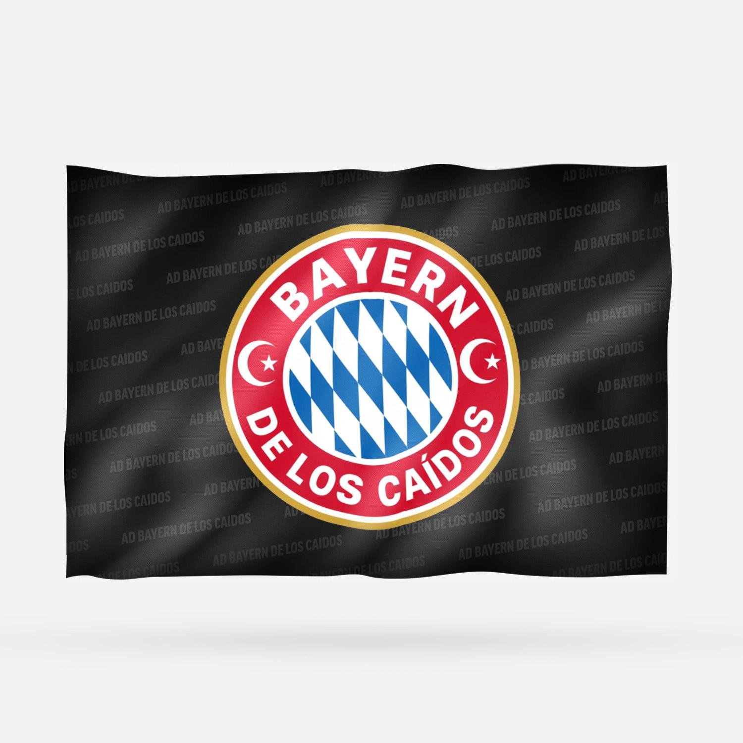 AD BAYERN DE LOS CAIDOS - Imagen 9