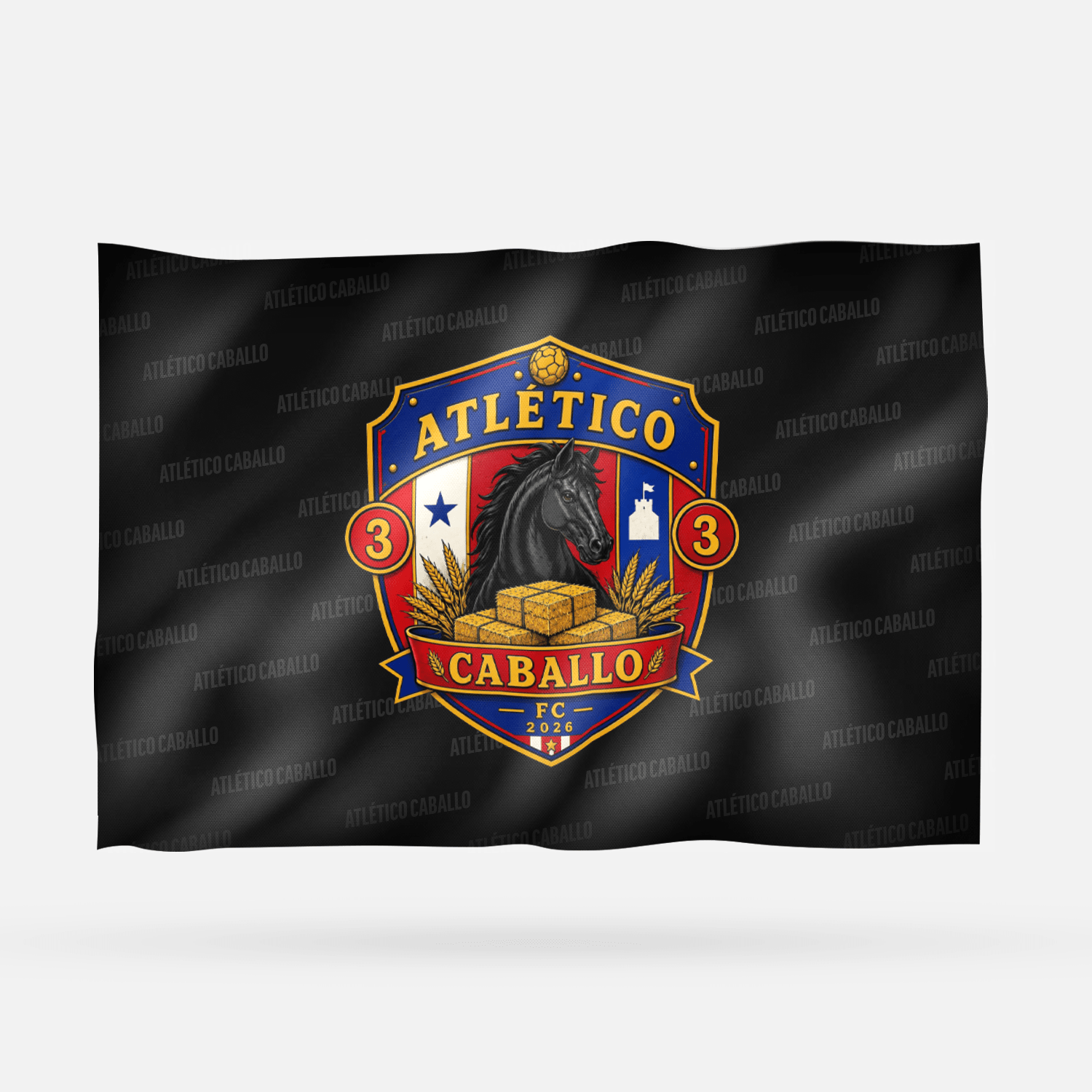 ATLÉTICO CABALLO - Imagen 8