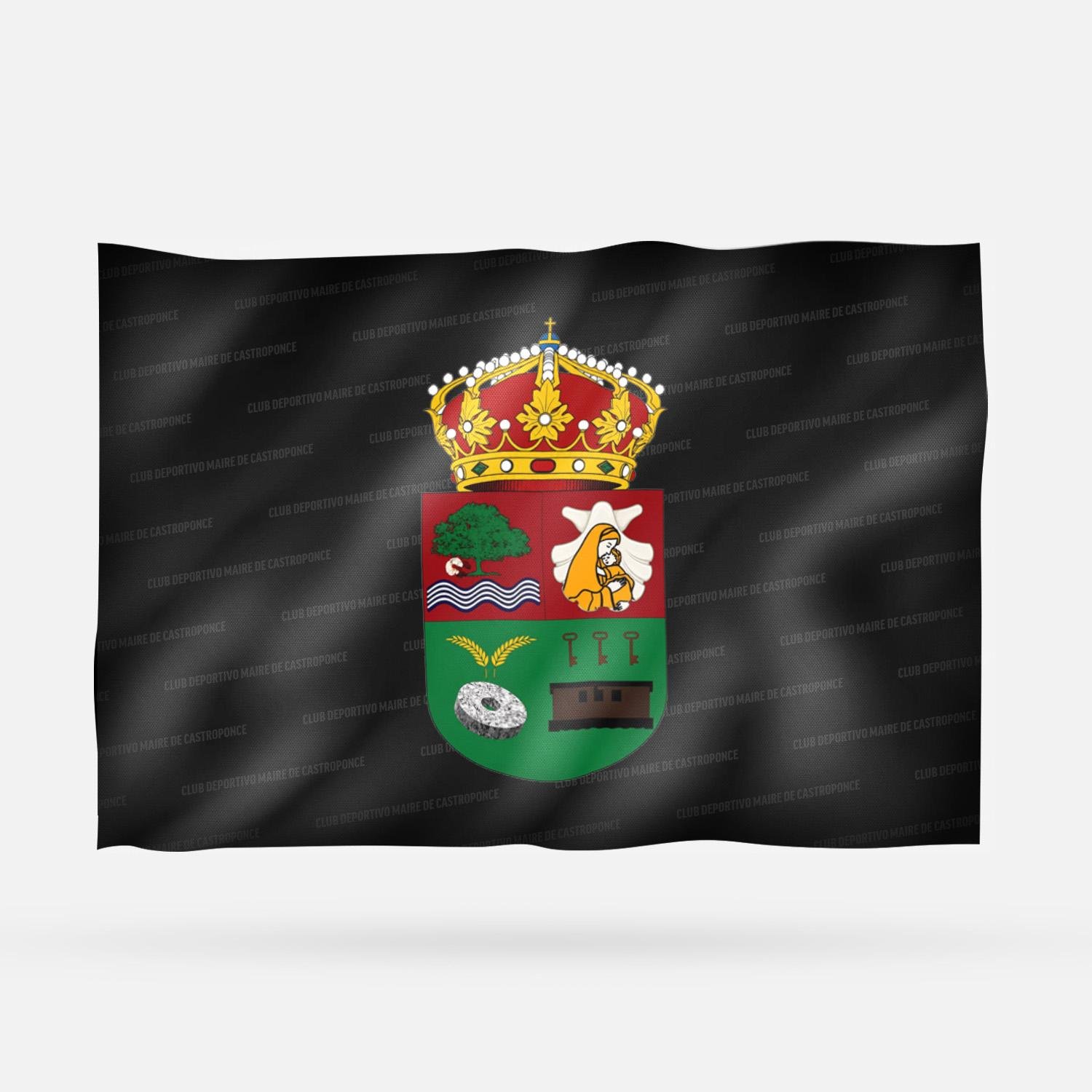 CLUB DEPORTIVO MAIRE DE CASTROPONCE - Imagen 8
