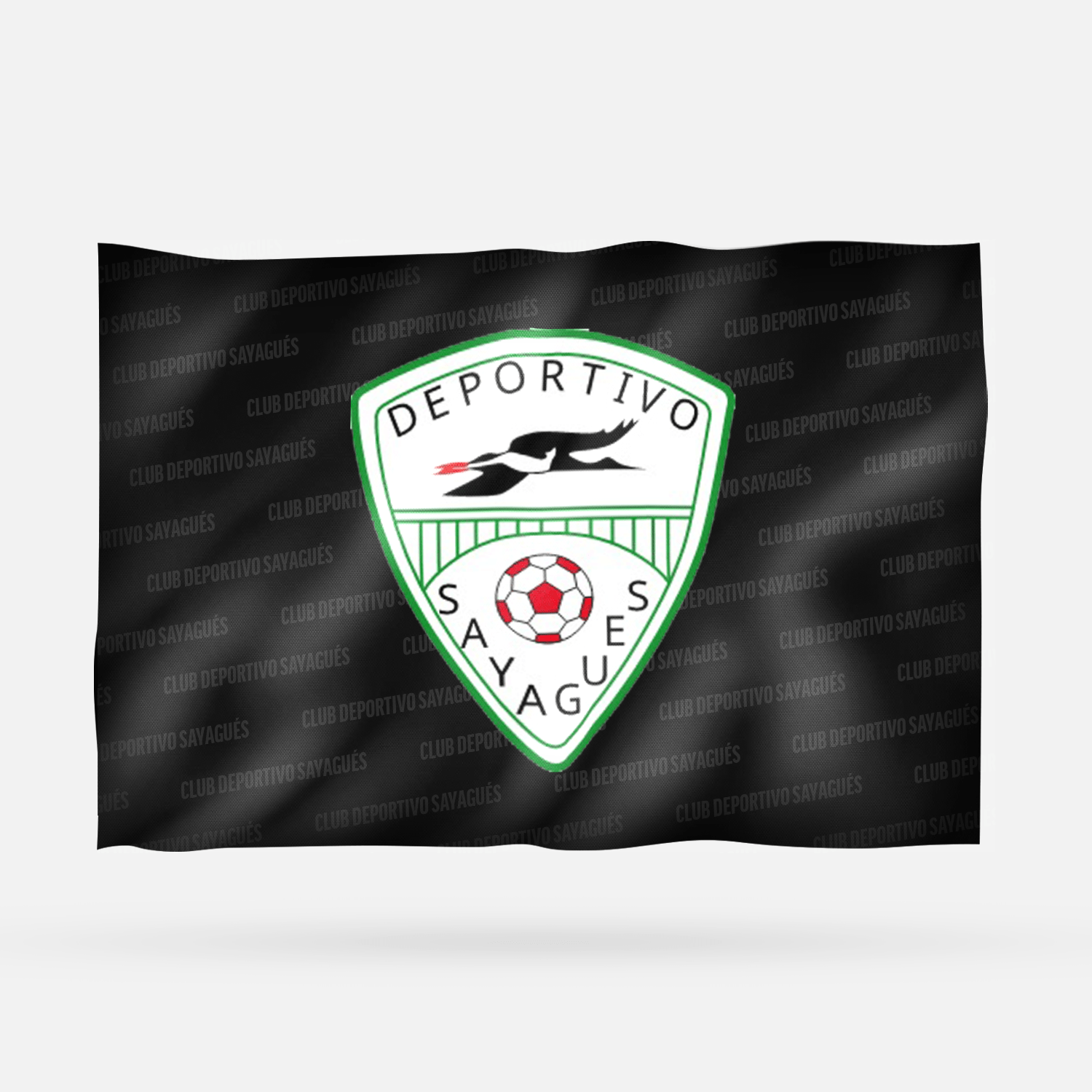 CLUB DEPORTIVO SAYAGUÉS - Imagen 8
